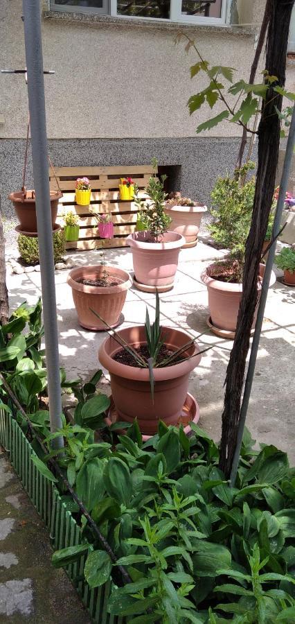 Draga Apartment نيسيبار المظهر الخارجي الصورة